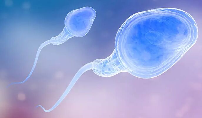 Bir erkeğin ön ejakülatında spermatozoa bulunabilir. 