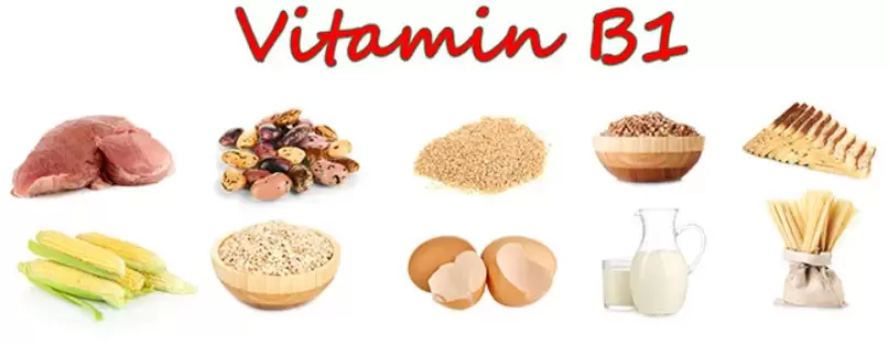 potens için ürünlerde B1 vitamini